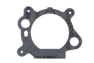 Φλάντζα καρμπυρατέρ χορτοκοπτικού Briggs Stratton 272653 0449069R